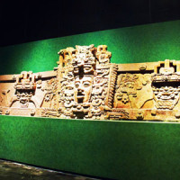 Anthropological Museum